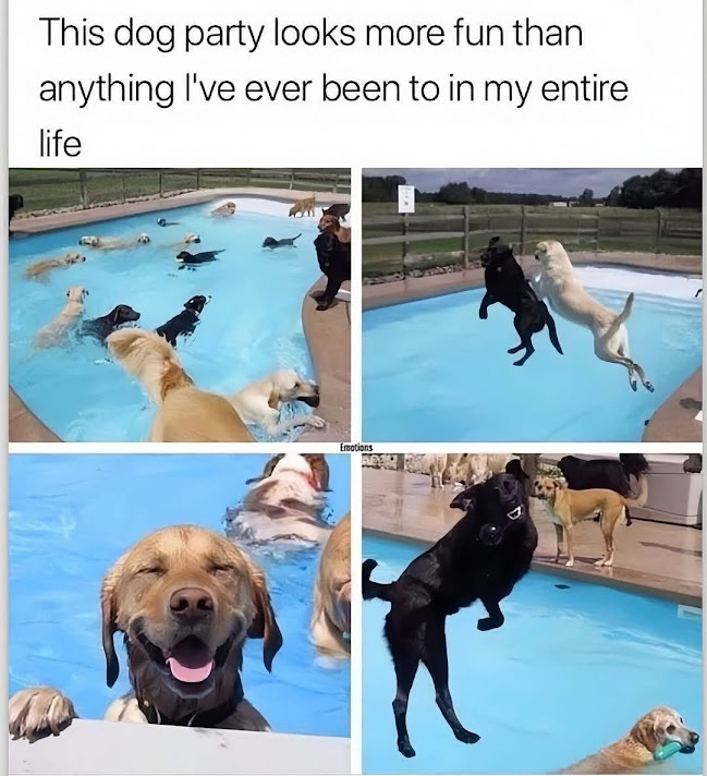 1749313907763.jpeg