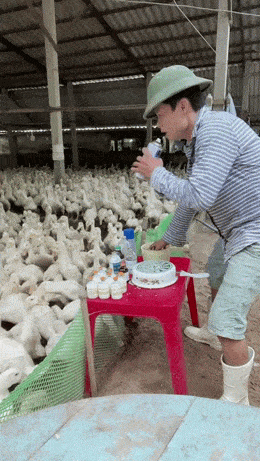 1749554539352.gif