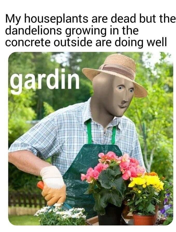 1749676066014.jpeg
