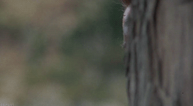 1749903682159.gif