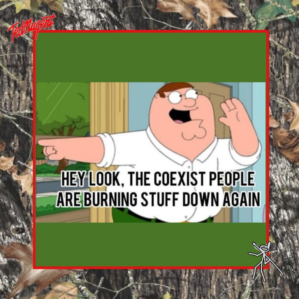 1750011197456.png