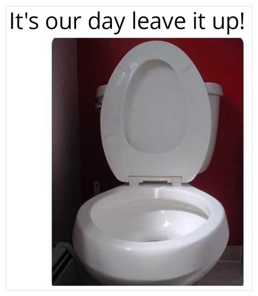 1750029094343.png