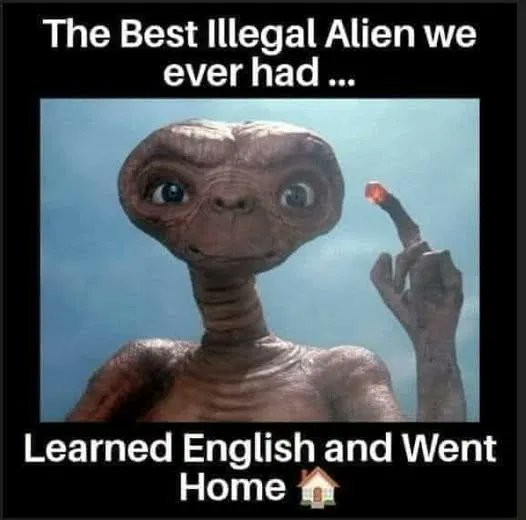 1750131431274.png