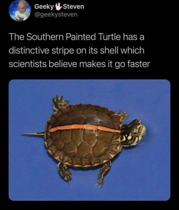 1750148564168.png