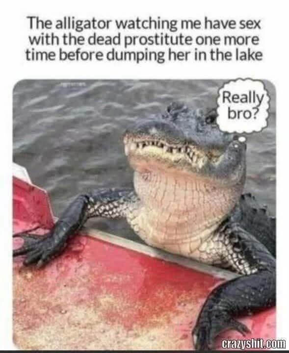 1750190197307.jpeg