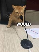 1750249673094.jpeg