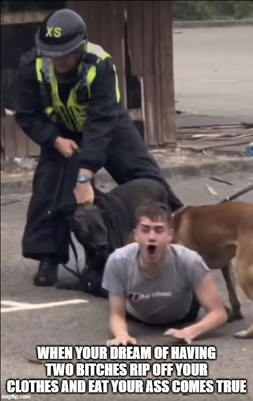 1750431409030.png