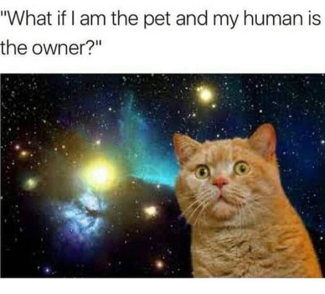 1750668311090.png
