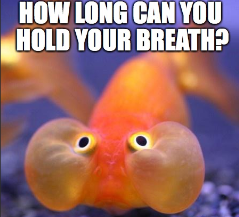 1750777041465.png