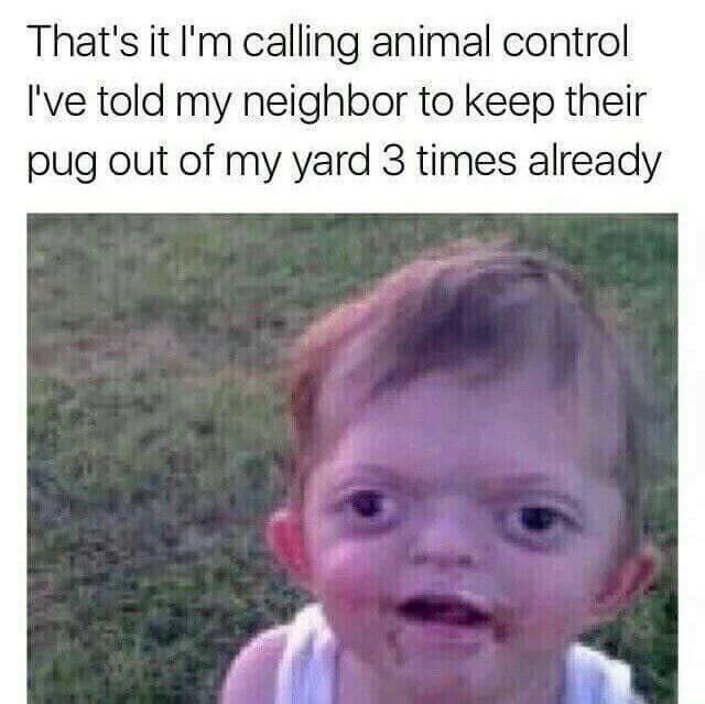 1750795780198.png