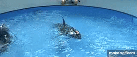 1750815009790.gif