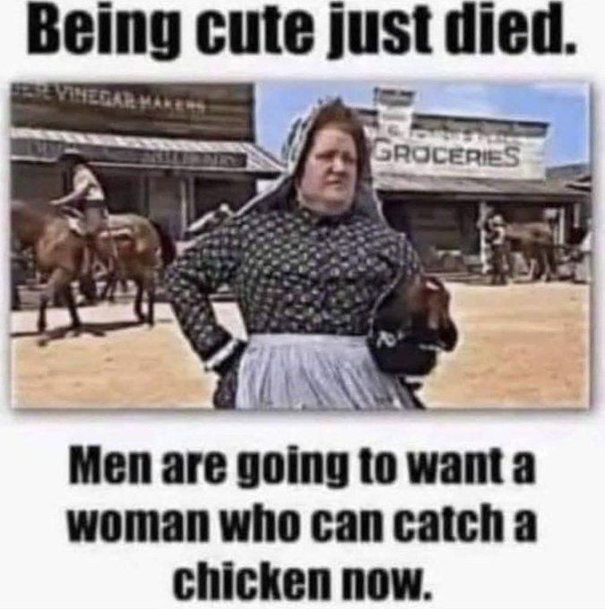 1751043226893.png