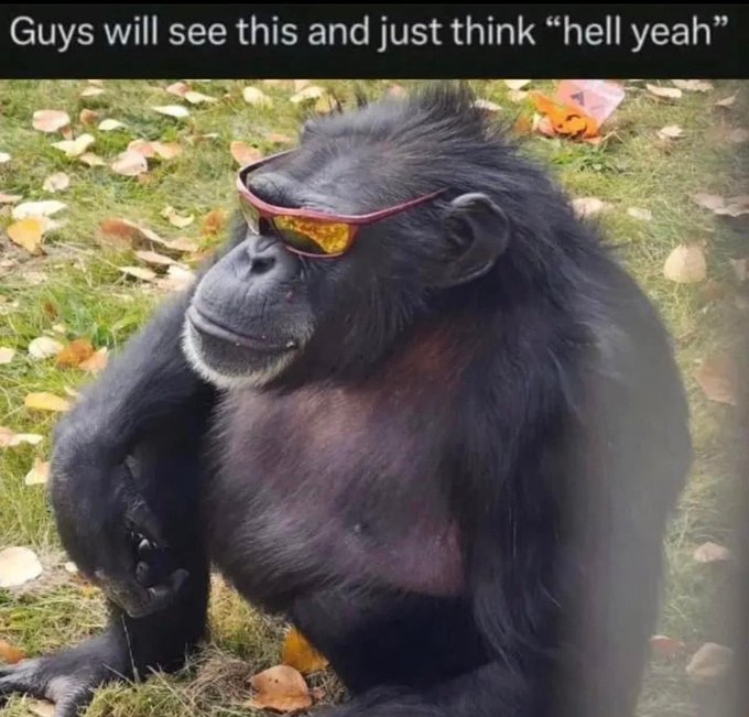 1751073222965.png