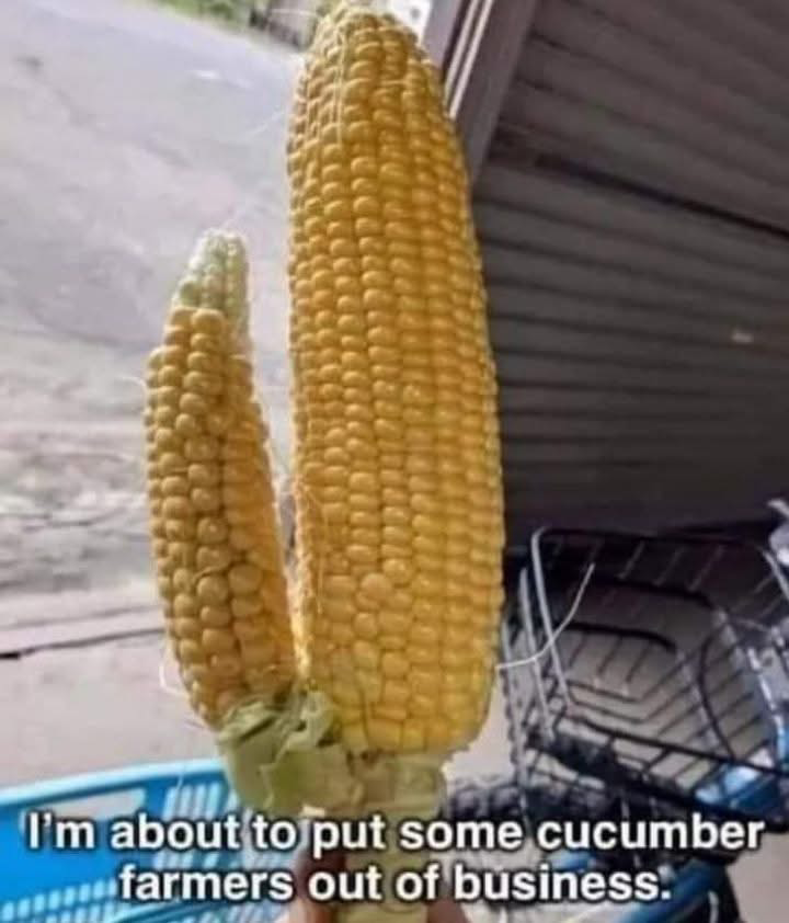 1751299175265.png