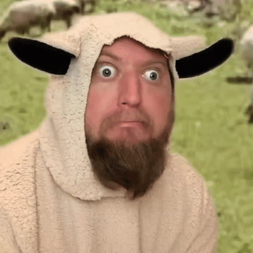1751371573049.gif