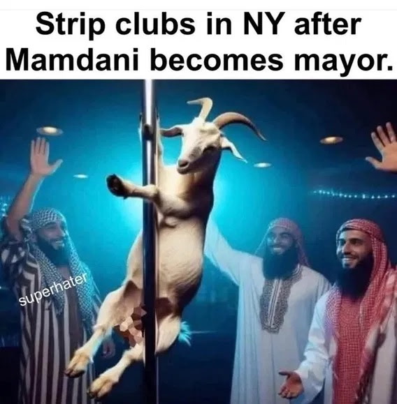 1751602098614.jpeg
