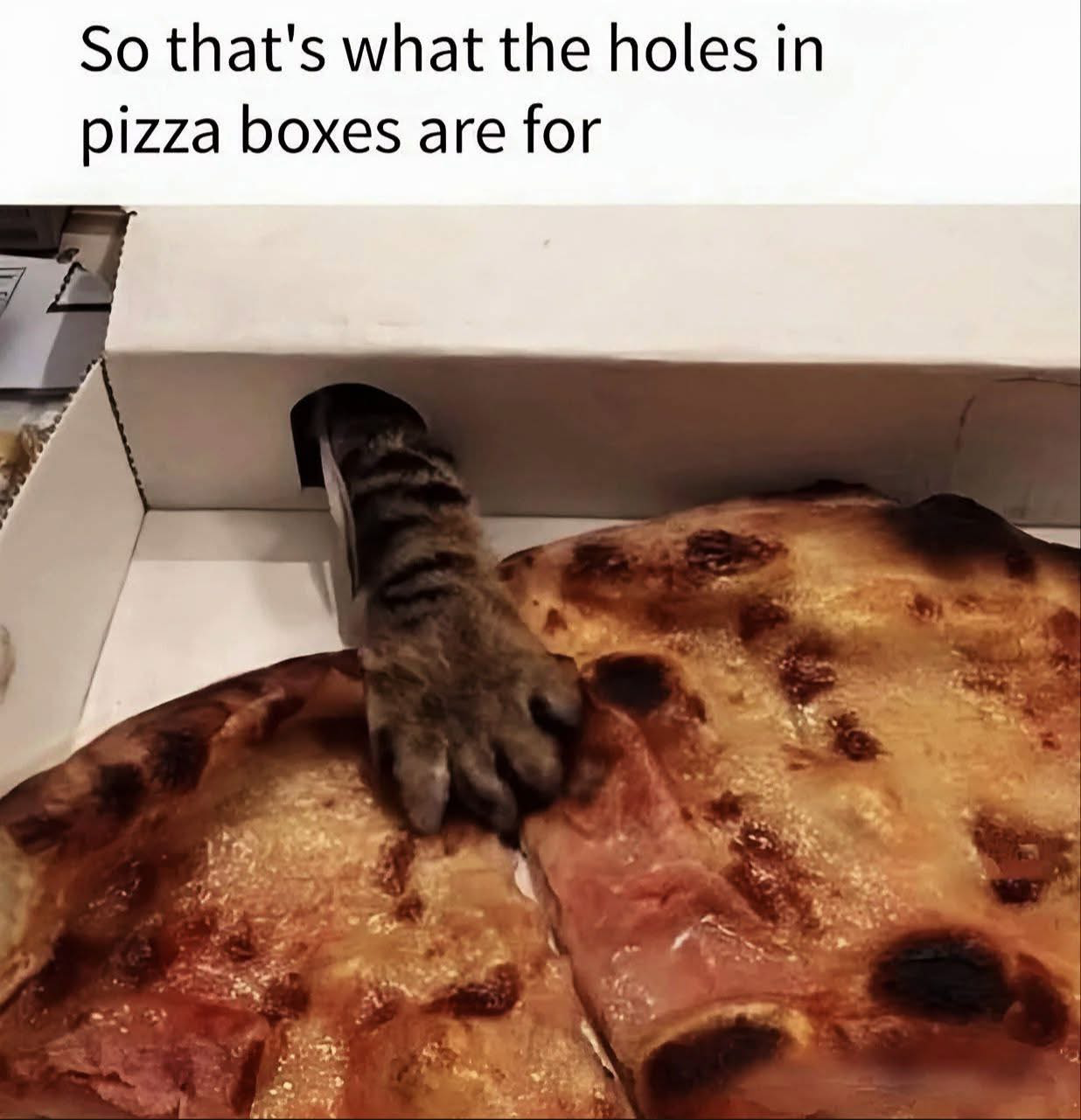 1751991154566.png