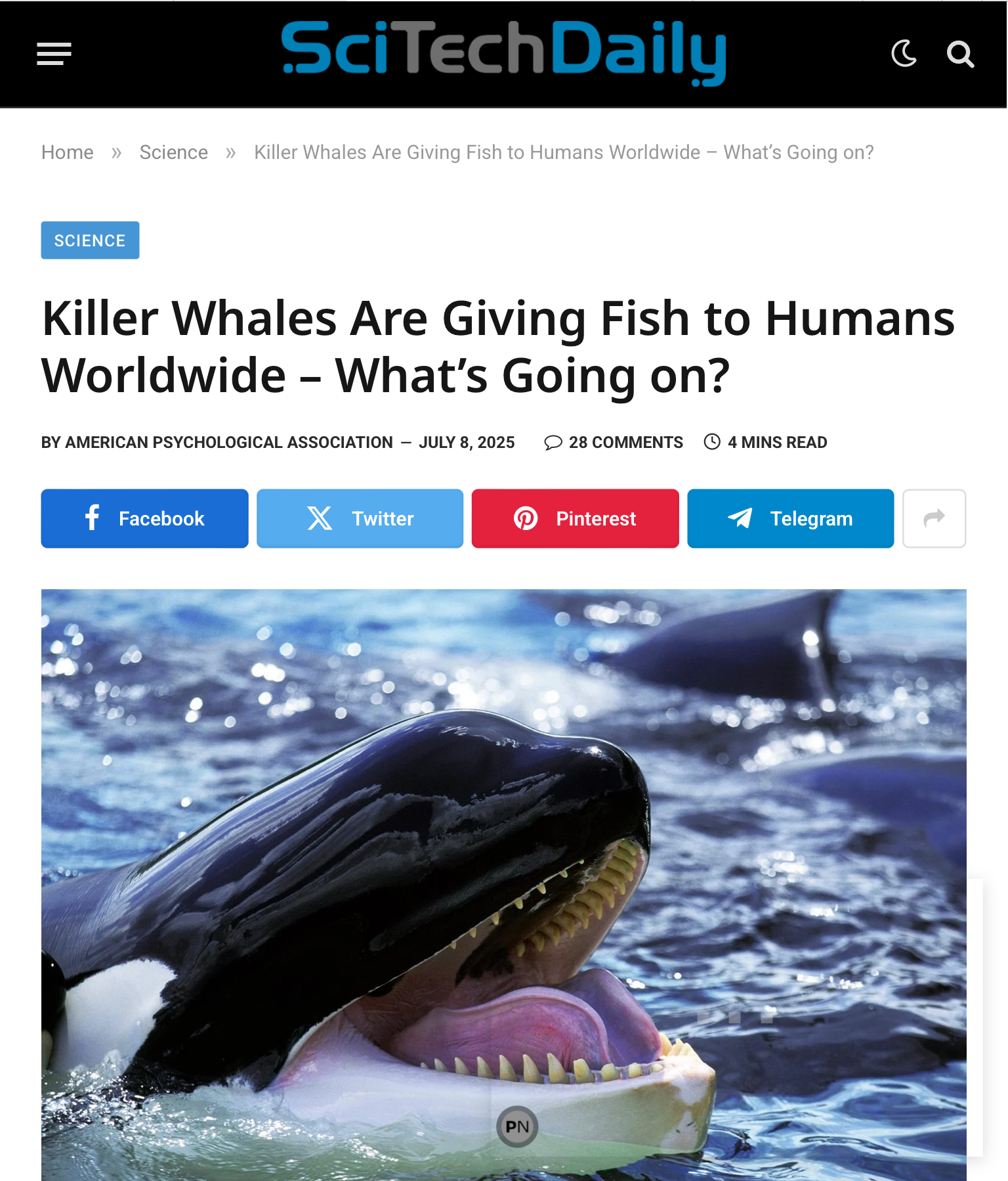 1752061501624.png