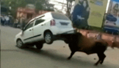 1752151276923.gif