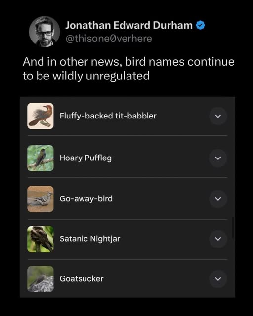 1752233625274.png