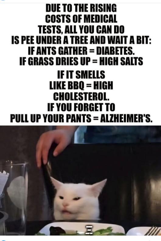 1752267776262.png