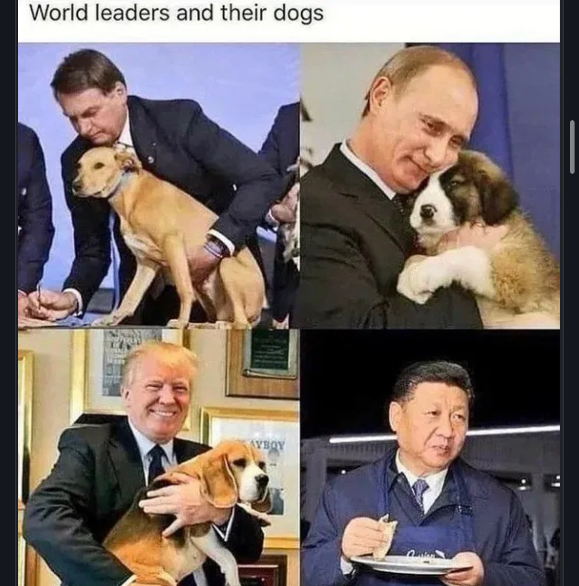 1752597575119.jpeg