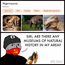 1752608460537.jpeg