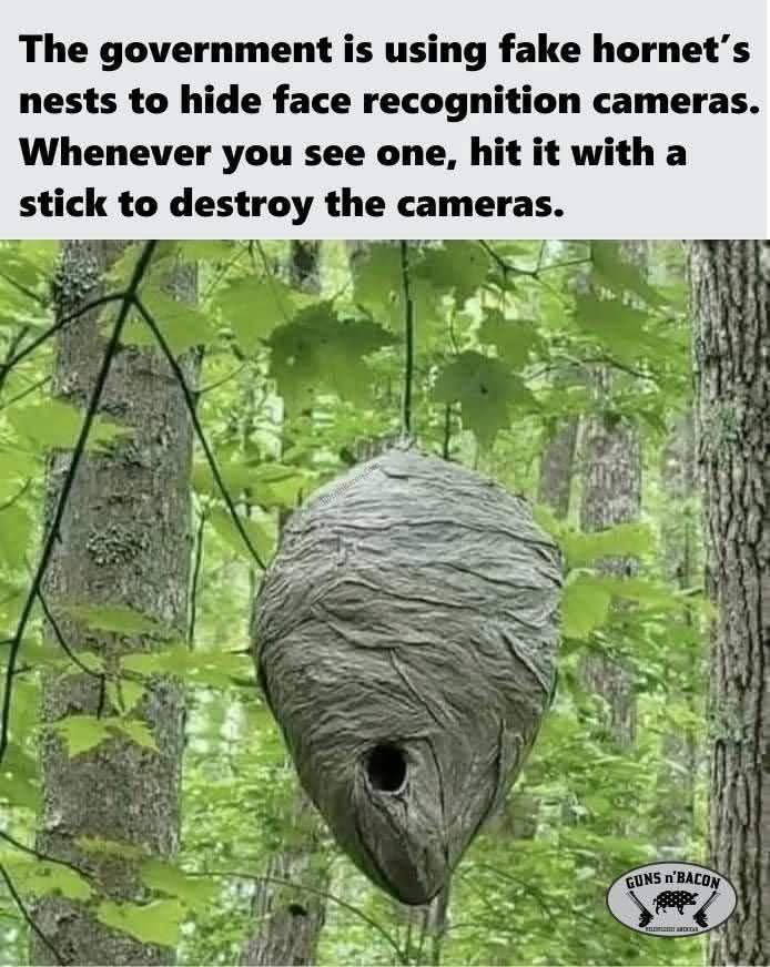 1752609354939.png