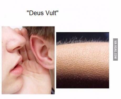 1753122736210.jpeg
