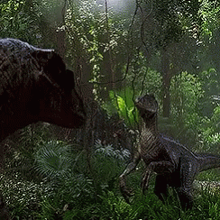 1753299309850.gif