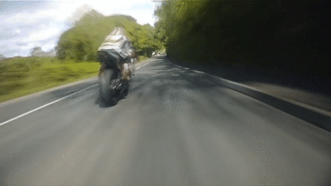 1753406072553.gif