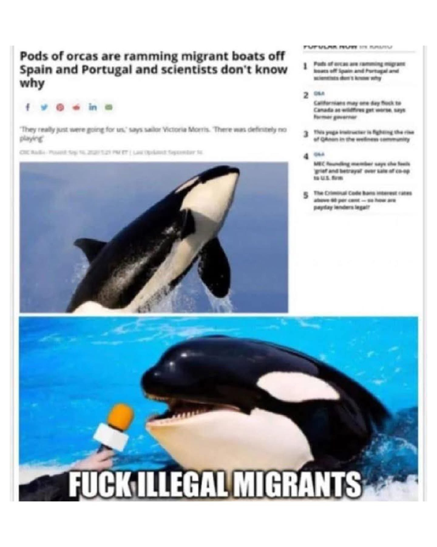 1753579655982.png