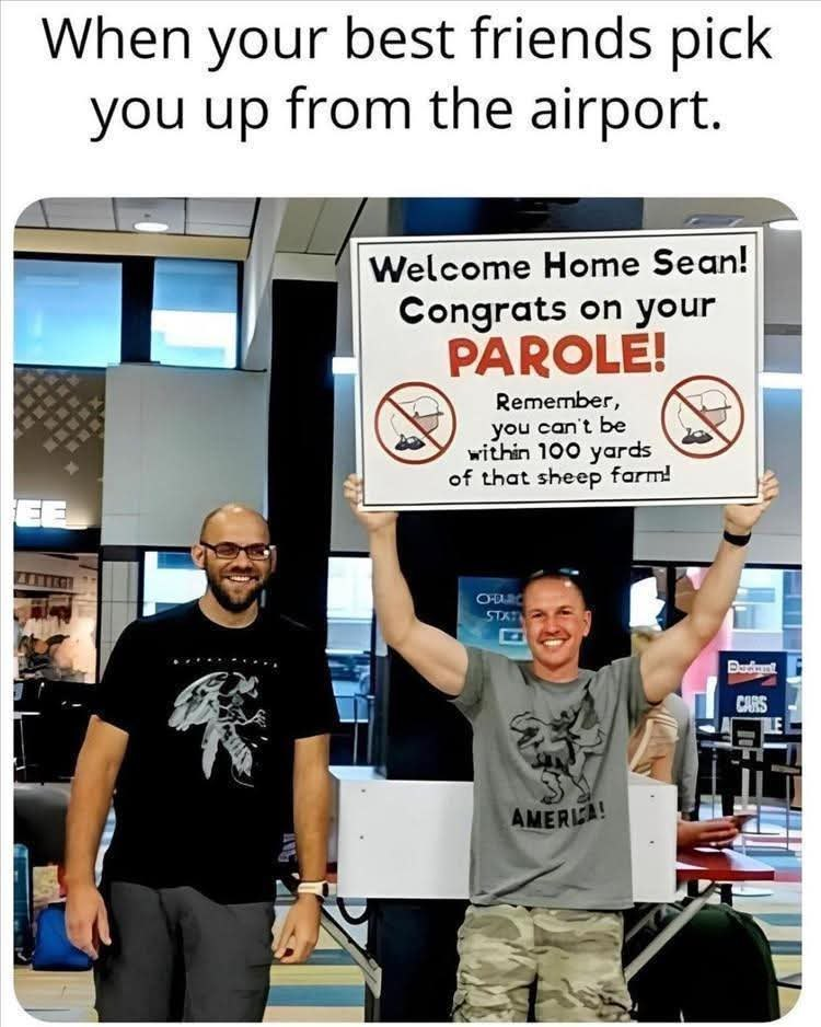 1753804165506.png