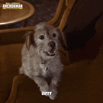 1753902380126.gif