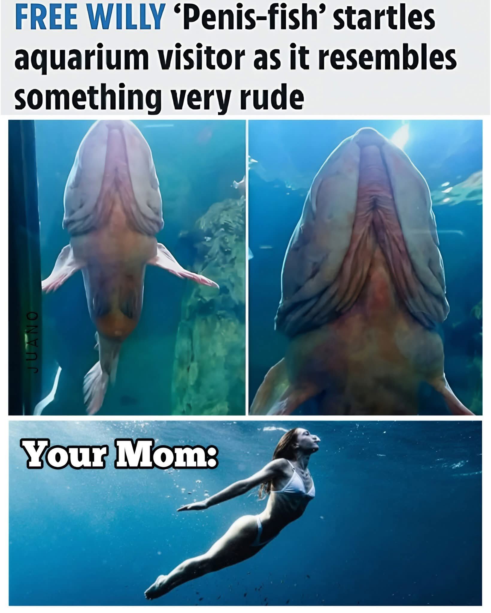 1753992104618.png