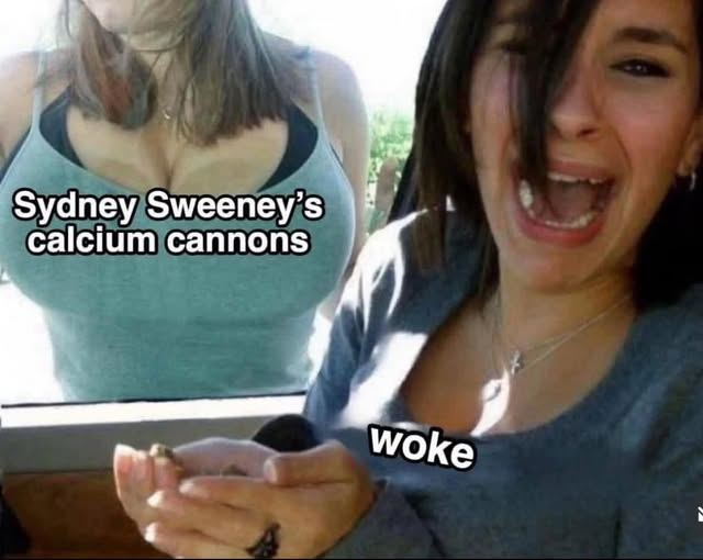 1754051639614.png