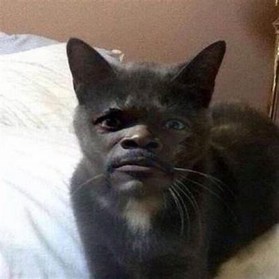 1754065635726.jpeg