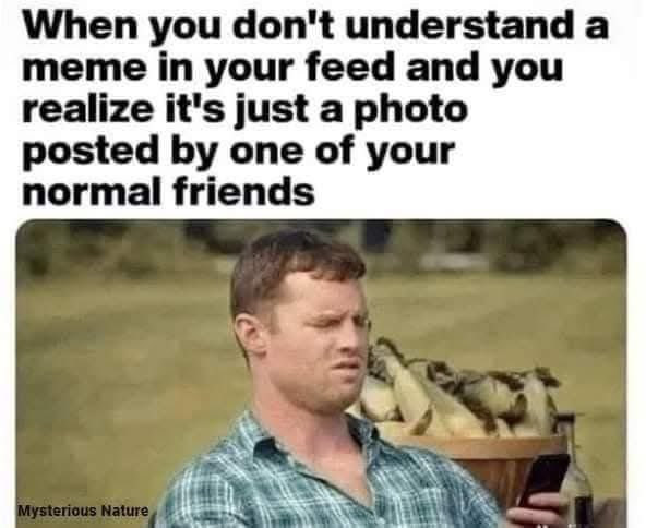1754070142689.png