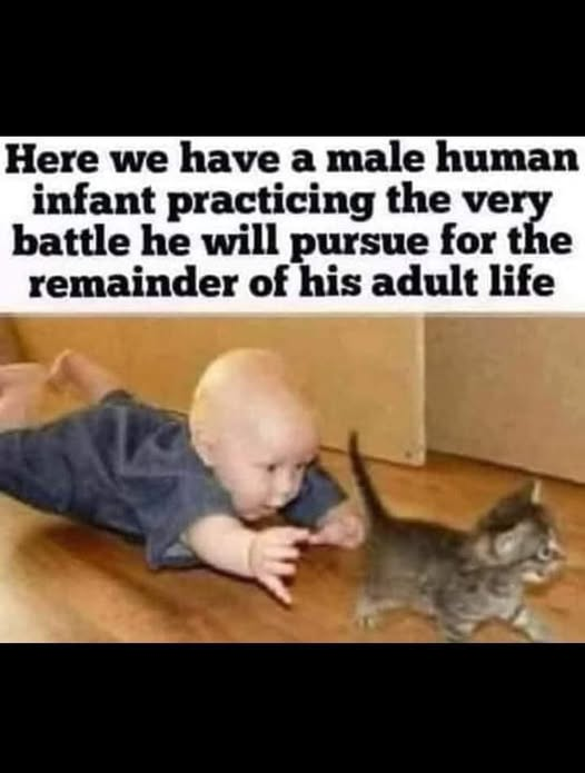 1754693751213.png