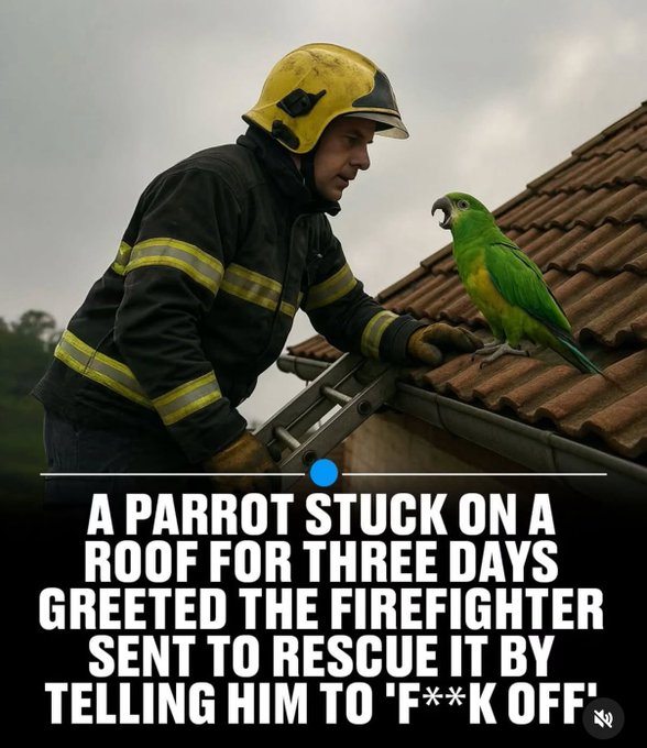 1754852993622.png