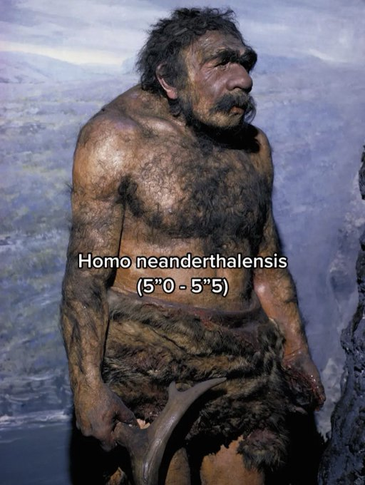 1754853915011.png