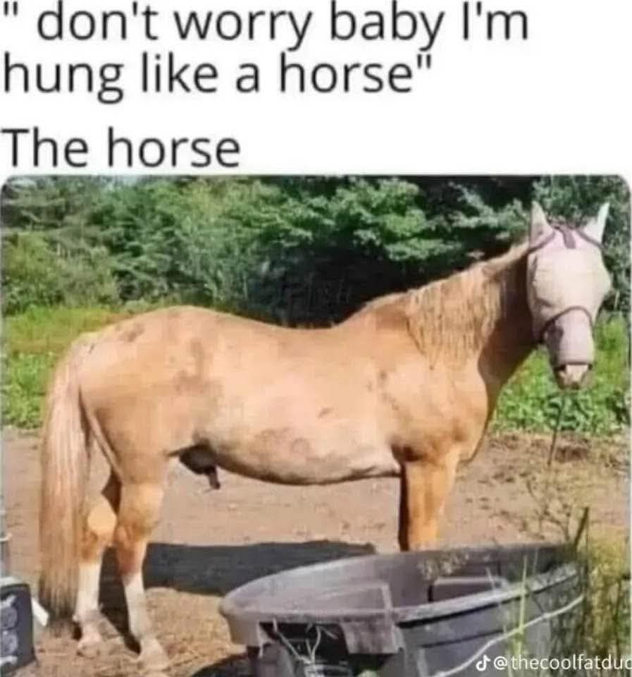 1755113959556.jpeg
