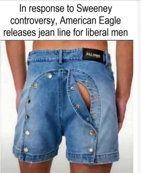 1755270918662.png