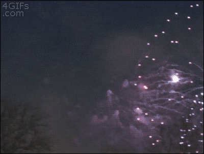 1755318480954.gif