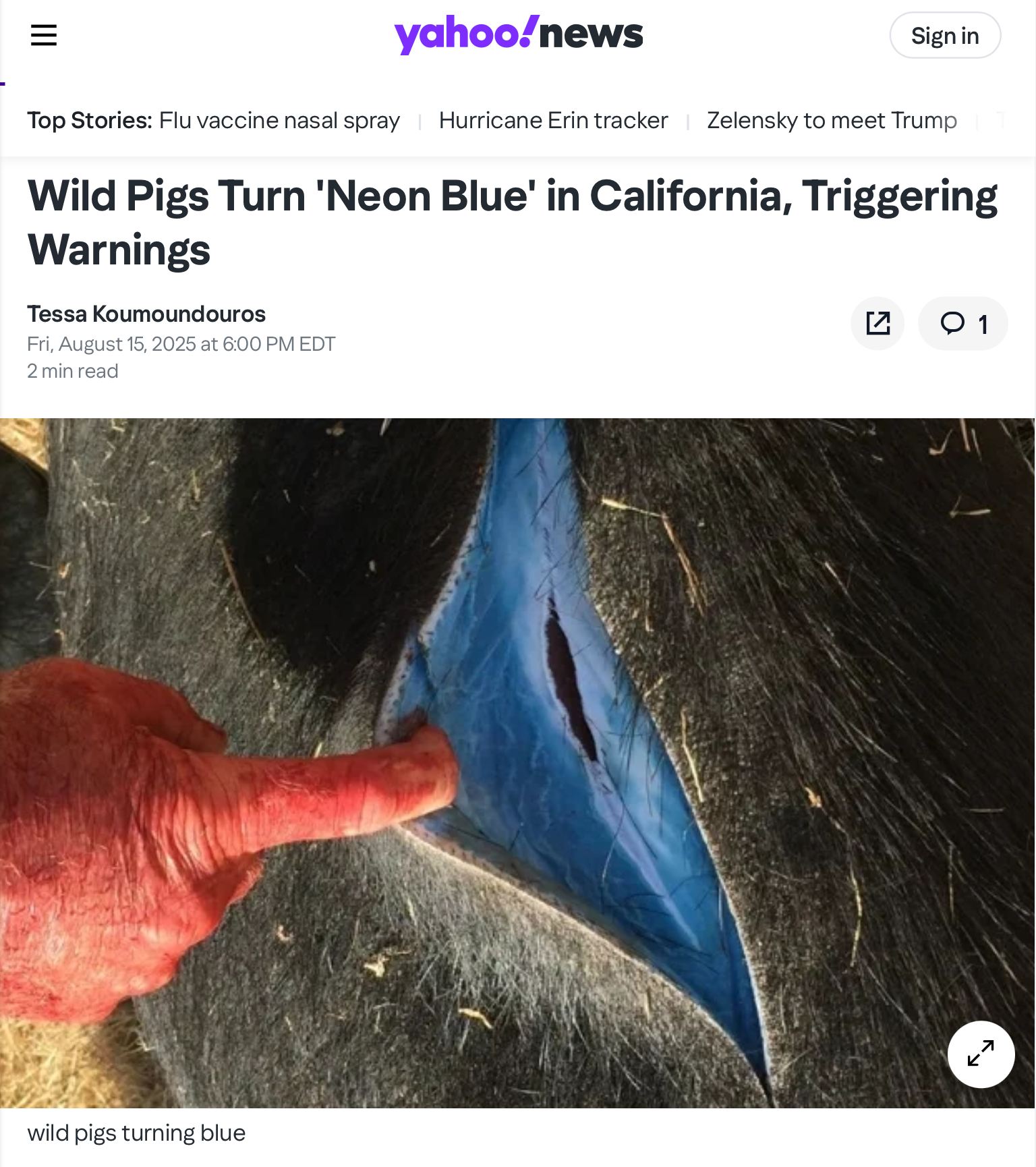 1755375020386.png