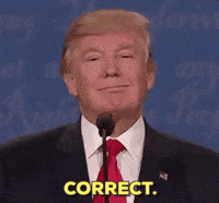 1755825619351.gif