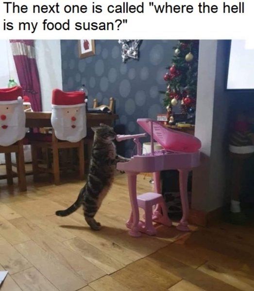 1756041428328.jpeg
