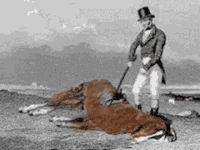 1756170263346.gif