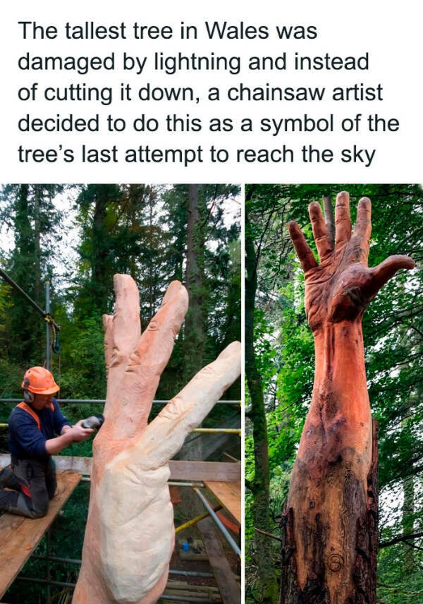 1756277348612.png