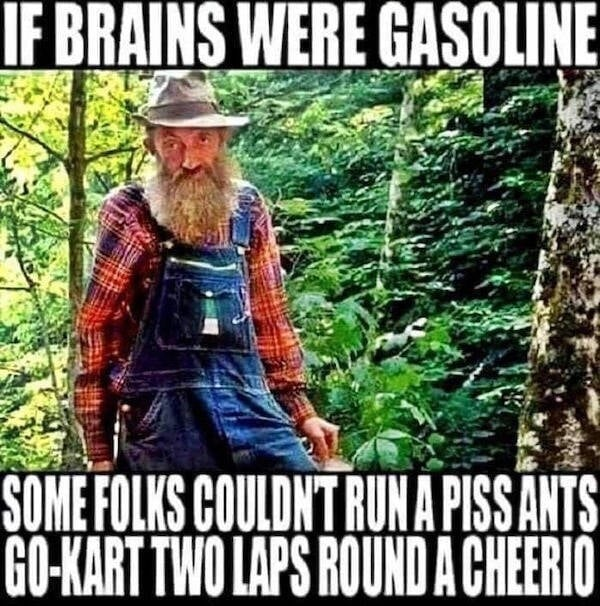 1756278163309.png